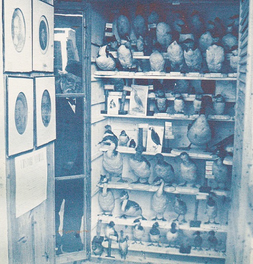 photo olphe galliard dans ses collections