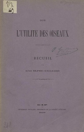 utilite oiseaux